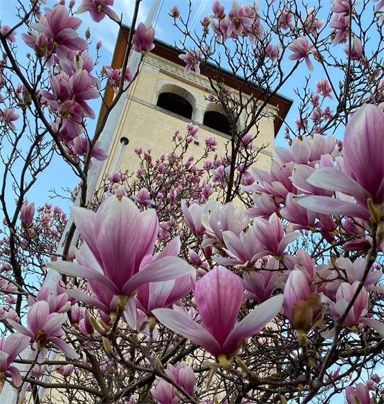 Ordentliche Kirchgemeindeversammlung