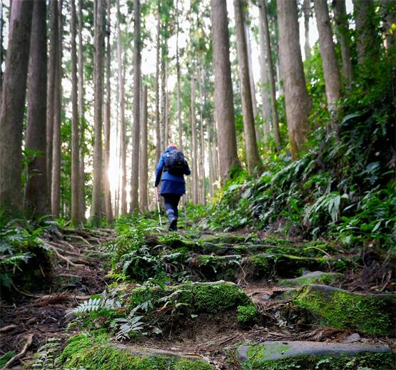 Viertägige Pilgerwanderung auf dem Oberschwäbischen Jakobusweg