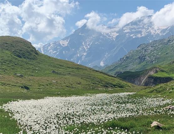 Bergwandertage am Fuss des Piz Medel und durch die Greina